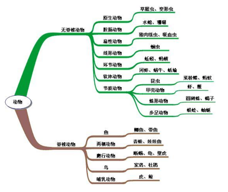 品牌策劃