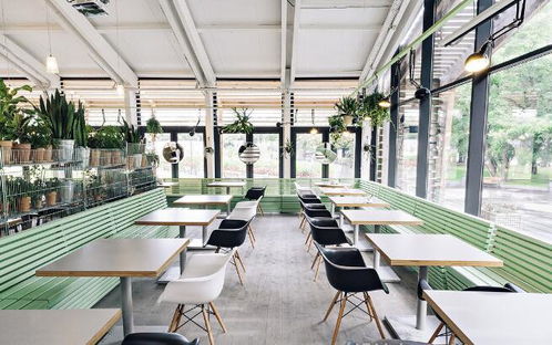 研究生創(chuàng)業(yè)開餐廳,稱霸大學(xué)校園